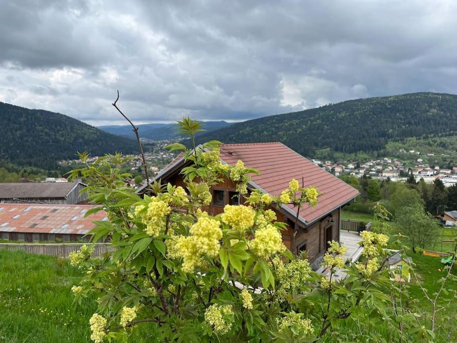 Chalet 3 Etoiles A Gerardmer. Exteriér fotografie