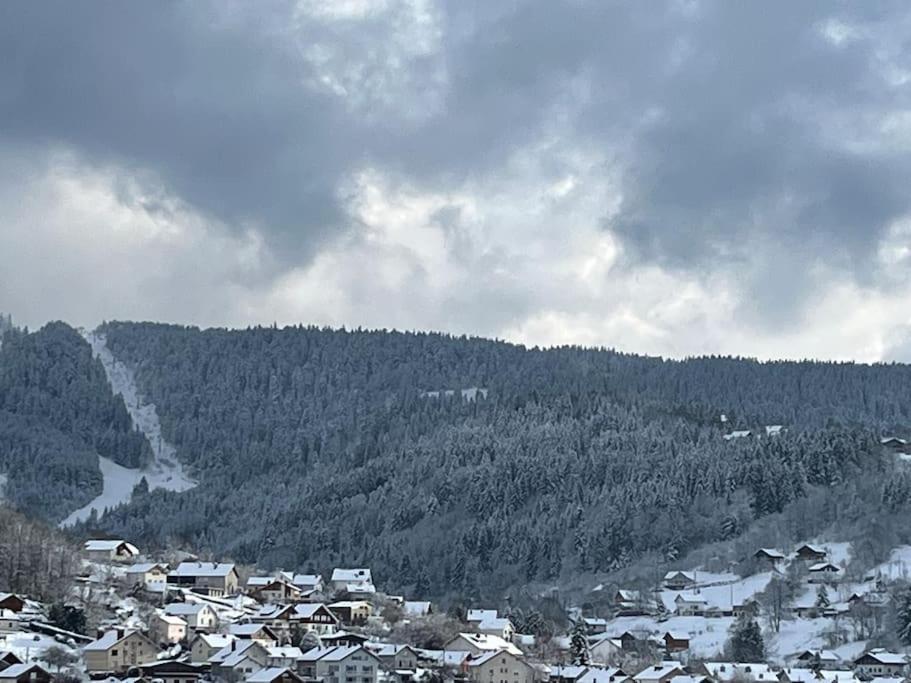 Chalet 3 Etoiles A Gerardmer. Exteriér fotografie