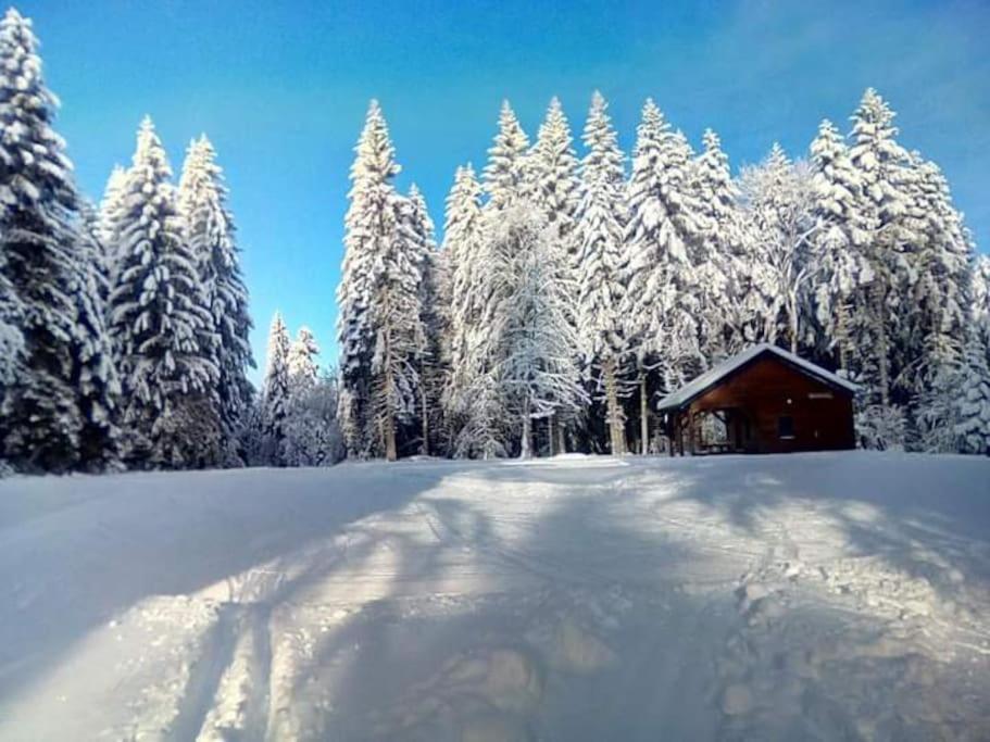 Chalet 3 Etoiles A Gerardmer. Exteriér fotografie