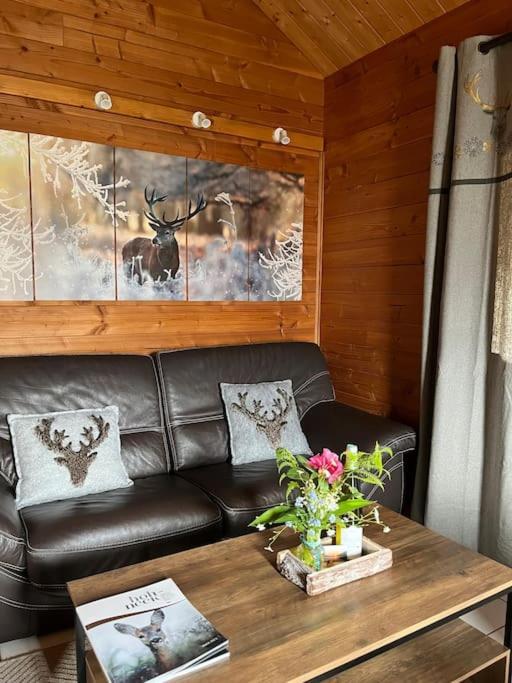 Chalet 3 Etoiles A Gerardmer. Exteriér fotografie